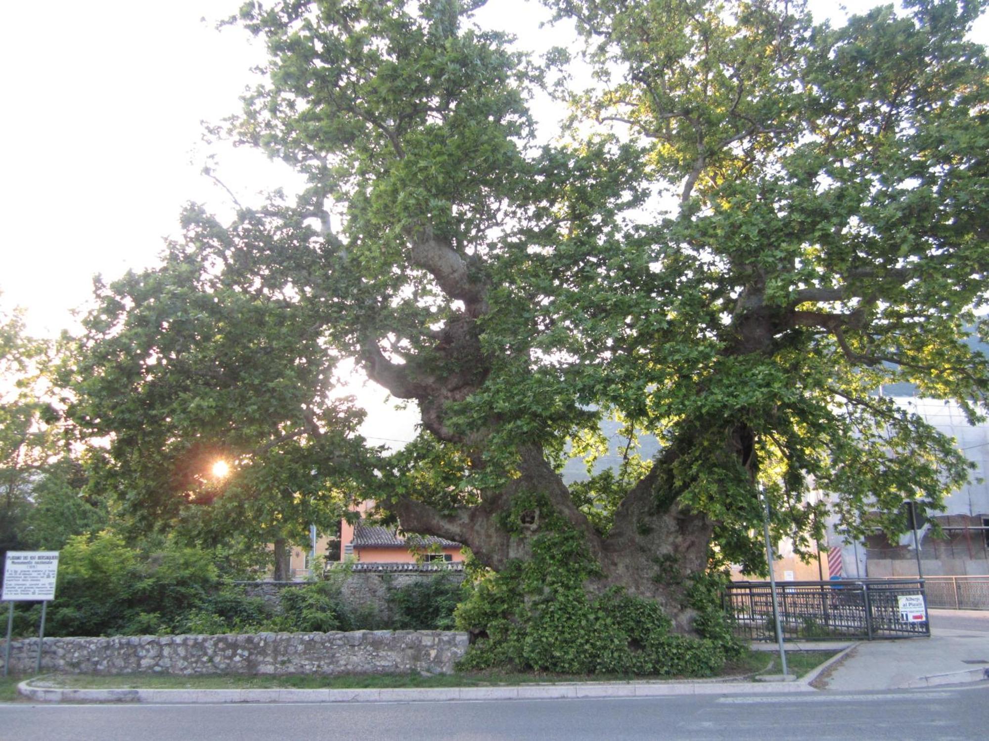Albergo Al Platano Caprino Veronese Buitenkant foto